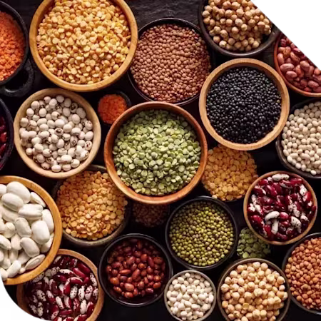 Dry Food